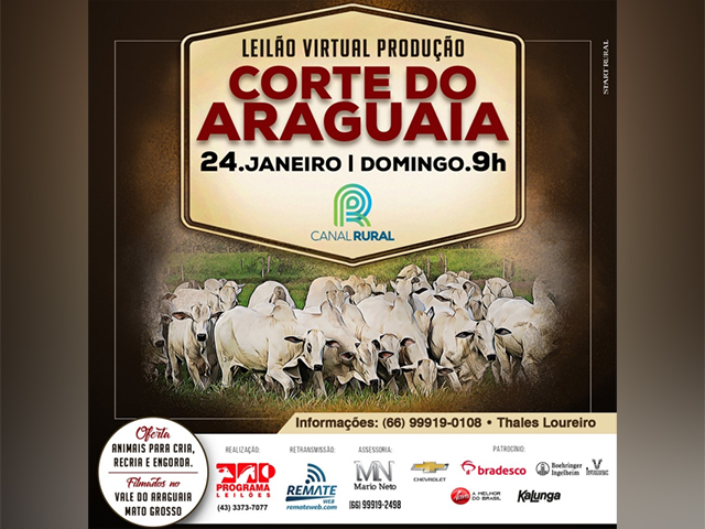 Leilão Produção Corte do Araguaia (24.01) Leilão Produção Corte do Araguaia (24.01)