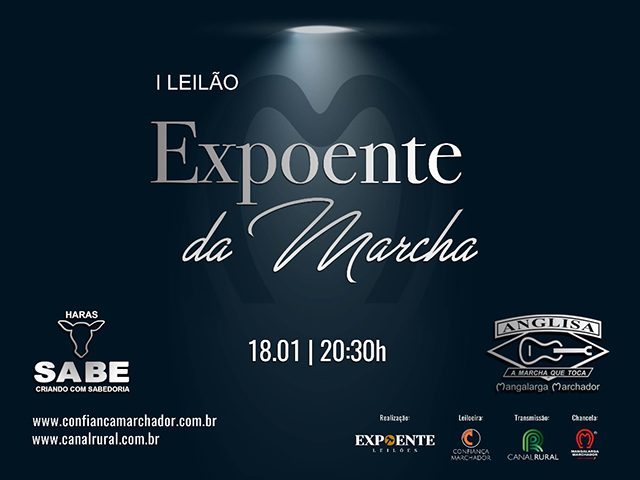 EXPOENTE EXPOENTE