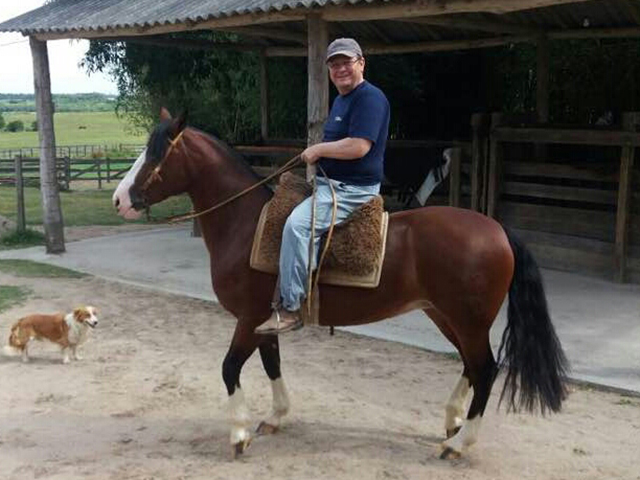 Semana do Zebu apresenta lives com foco nos leilões da 86ª ExpoZebu