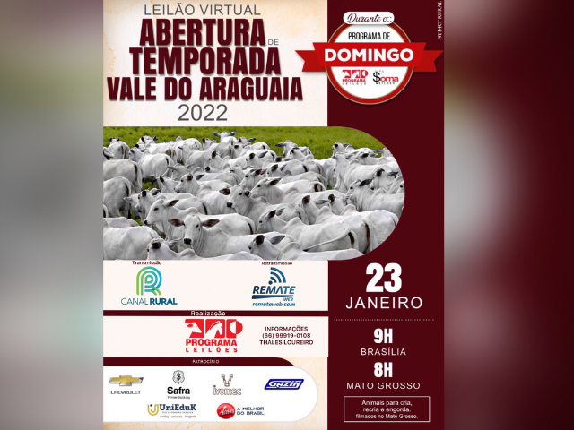 bannerprogramadedomingo bannerprogramadedomingo