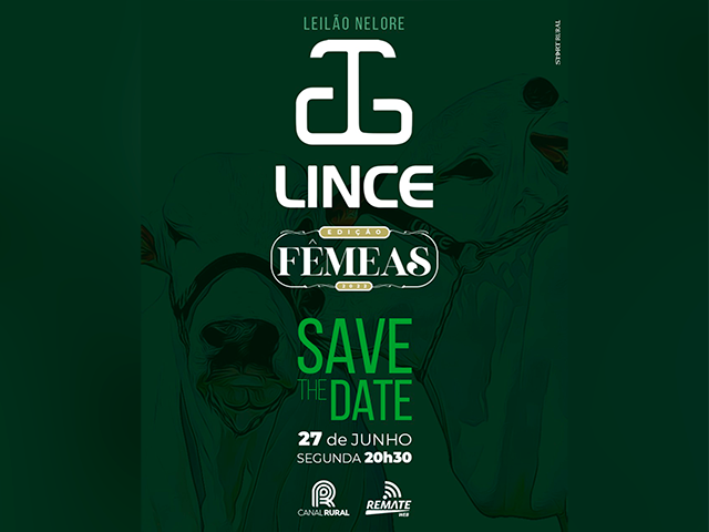 LINCE-27.06