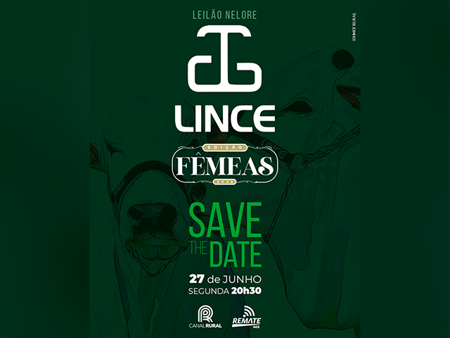 LINCE-27.06 LINCE-27.06