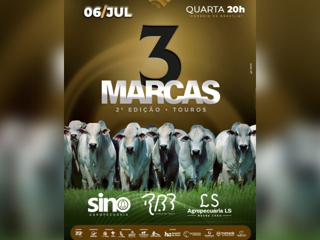 Design sem nome (13) Design sem nome (13)