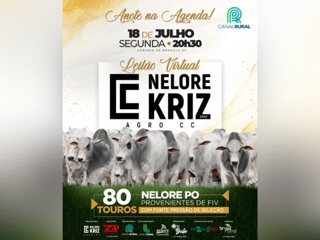 Design sem nome Design sem nome