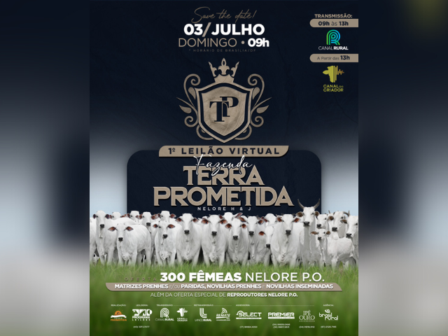 Design sem nome (7) Design sem nome (7)