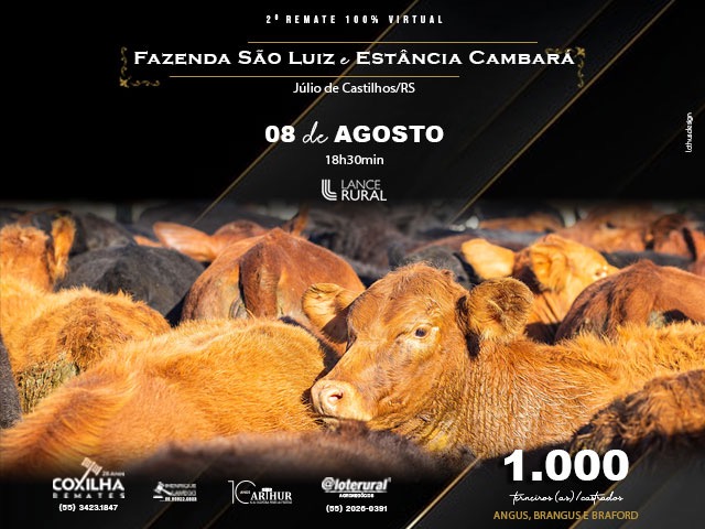 08.08 - 2º Remate 100% Virtual Fazenda São Luiz e Estância Cambará 08.08 - 2º Remate 100% Virtual Fazenda São Luiz e Estância Cambará