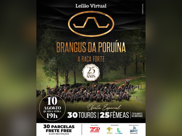 10.08 - BRANGUS PURUÍNA 10.08 - BRANGUS PURUÍNA