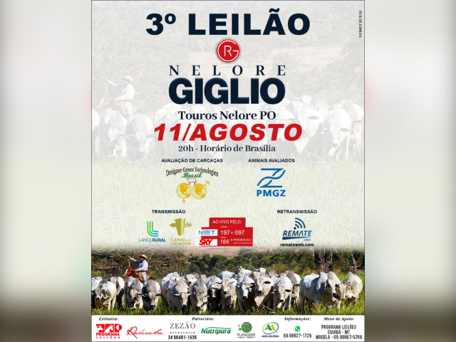 11.08 - GIGLIO 11.08 - GIGLIO