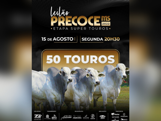 15.08 - PRECOCE MS 15.08 - PRECOCE MS