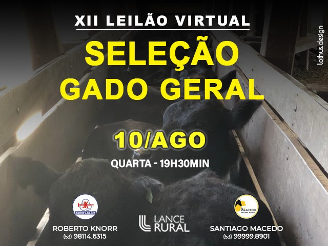 Design sem nome - 2022-08-02T234450.921 Design sem nome - 2022-08-02T234450.921