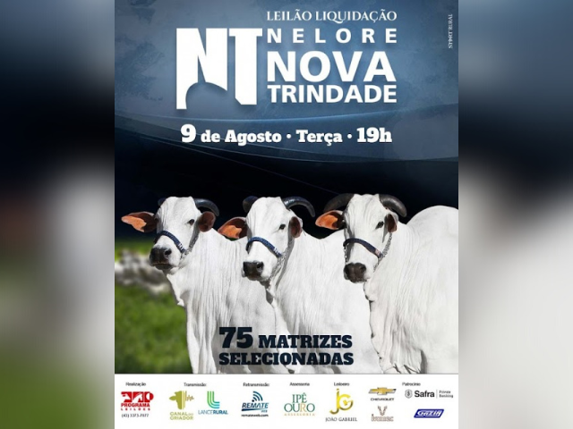 Design sem nome - 2022-08-03T154230.120 Design sem nome - 2022-08-03T154230.120