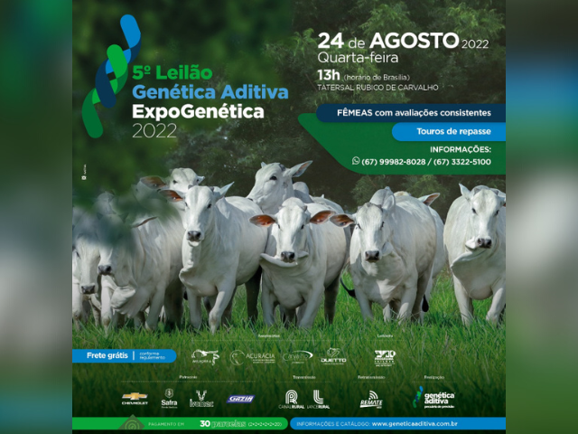 Design sem nome - 2022-08-06T110016.598 Design sem nome - 2022-08-06T110016.598