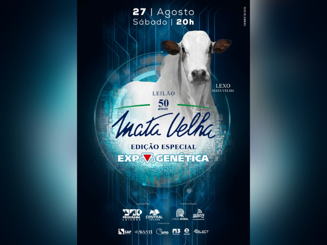 27.08 - MATA VELHA 27.08 - MATA VELHA