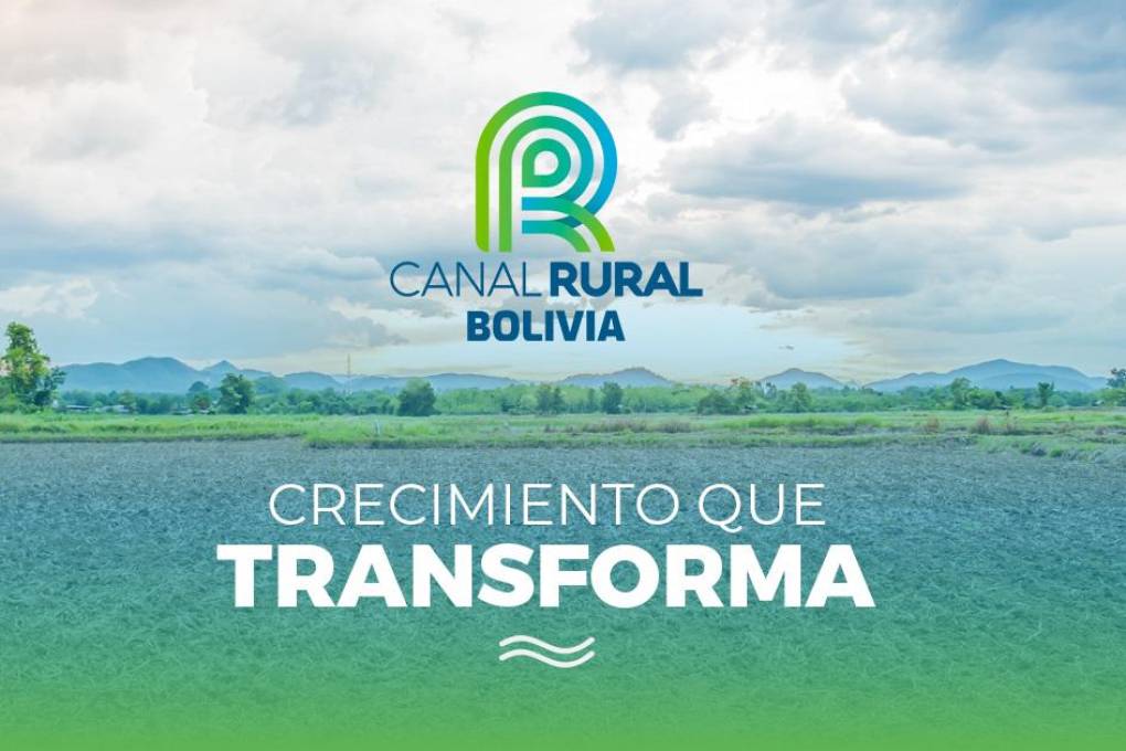 Canal Rural lança novo aplicativo do Lance Rural