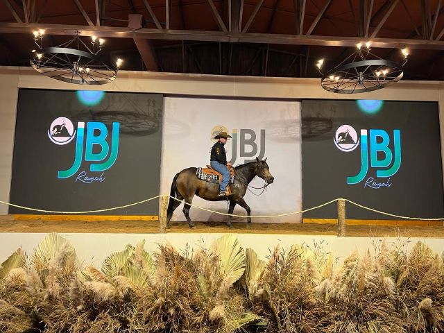 Leilão JBJ Ranch fatura mais de R$ 17 milhões e entra para a história da raça Quarto de Milha