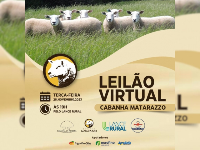 Leilões Lance Rural - Lance Rural