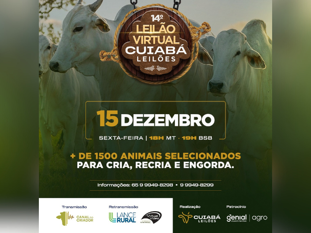 Leilões Lance Rural - Lance Rural