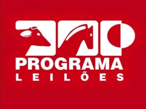 LOGO-PROGRAMA-300x225