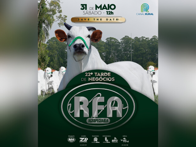 CAPA LEILÃO SITEAPP (12) CAPA LEILÃO SITEAPP (12)