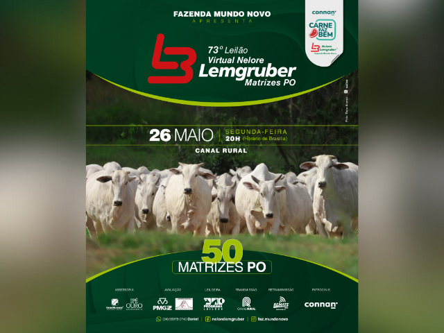 CAPA LEILÃO SITEAPP - 2025-05-08T144232.742