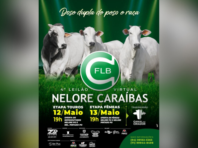 CAPA LEILÃO SITEAPP (36) CAPA LEILÃO SITEAPP (36)