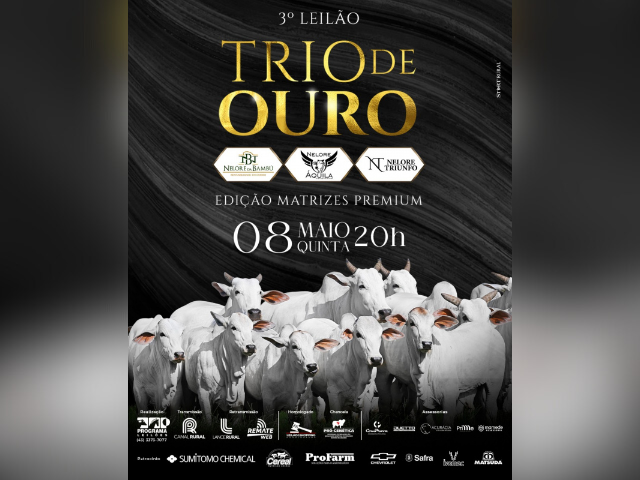 CAPA LEILÃO SITEAPP (42) CAPA LEILÃO SITEAPP (42)