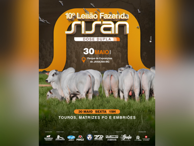 CAPA LEILÃO SITEAPP (49)