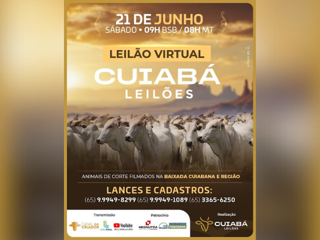 Leilão Virtual Cuiabá Leilões