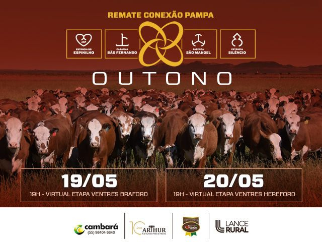 CAPA LEILÃO SITEAPP (82)
