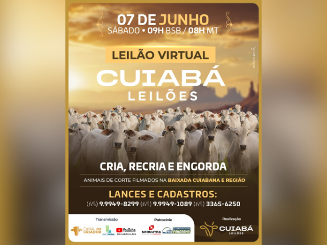 Leilão Virtual Cuiabá Leilões