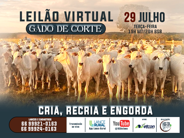 Leilão Virtual Gado de Corte