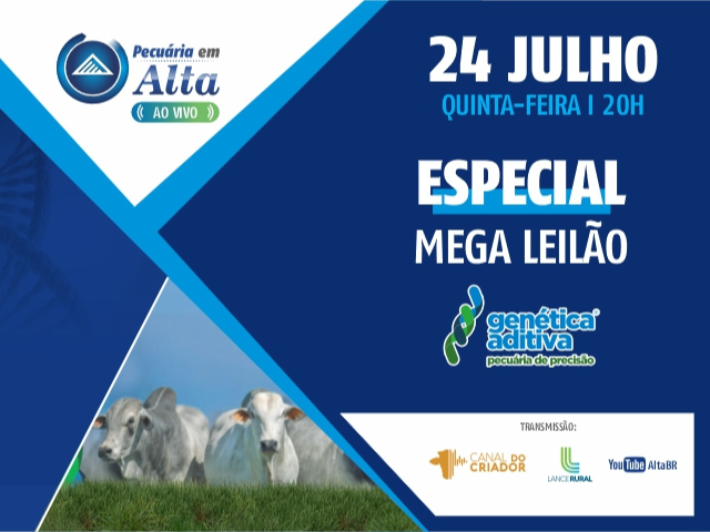 Pecuária em Alta – Especial Mega Leilão