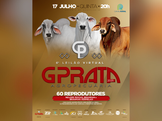 6º Leilão Virtual G Prata Agropecuária 2025