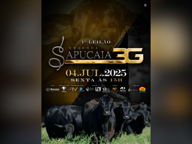 1º Leilão Brungus Sapucaia 3G