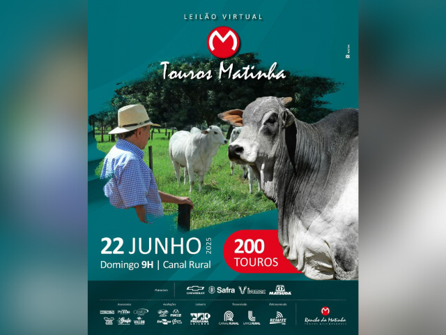 Leilão Virtual de Touros Matinha