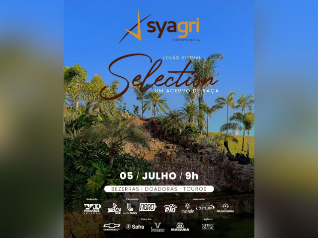Leilão Virtual Selection