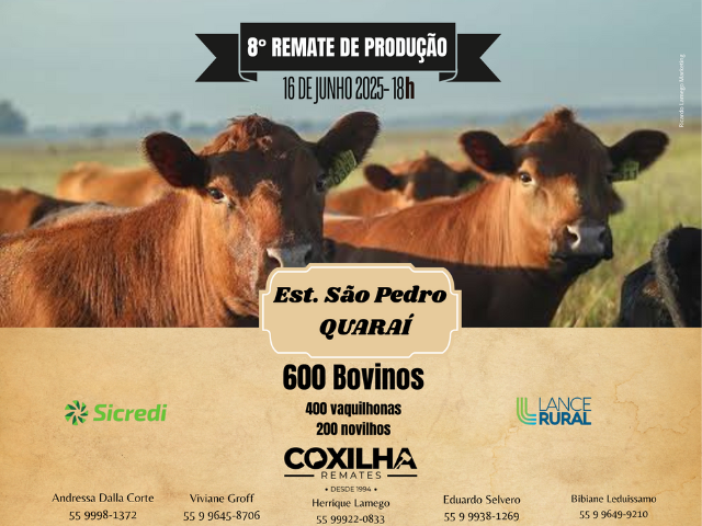 8º Remate de Produção Estância São Pedro