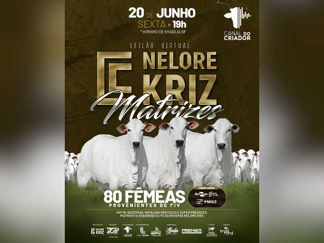 Leilão Virtual Nelore Kriz Matrizes