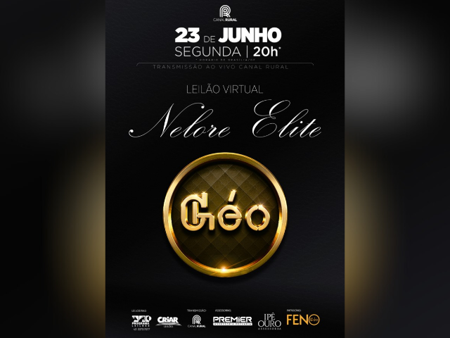 Leilão Virtual Nelore Elite GEO
