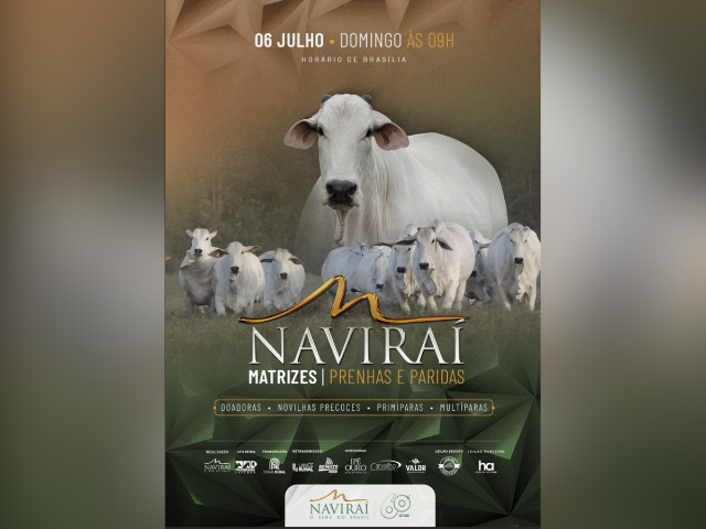 Leilão Naviraí – Matrizes Prenhas e Paridas