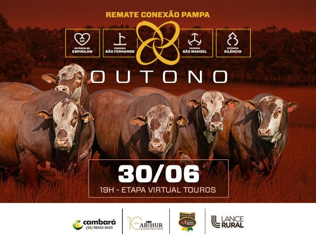 Remate Conexão Pampa Outono – Etapa Touros