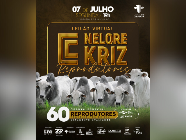 Leilão Virtual Nelore Kriz