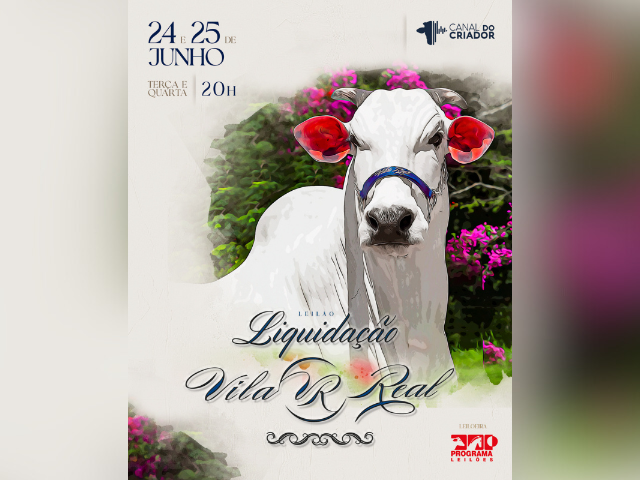 Leilão Liquidação Vila Real – 2º Etapa