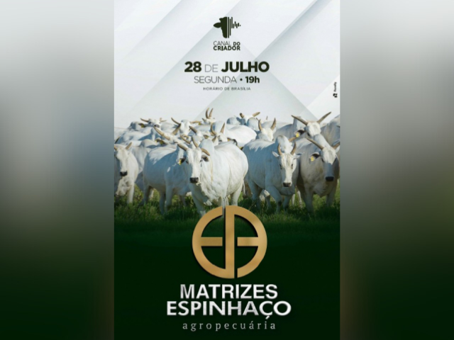 Leilão Matrizes Espinhaço Agropecuária