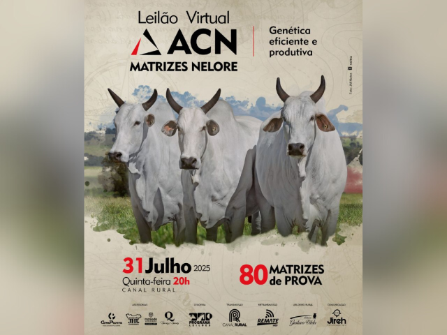 Leilão Virtual ACN – Matrizes Nelore