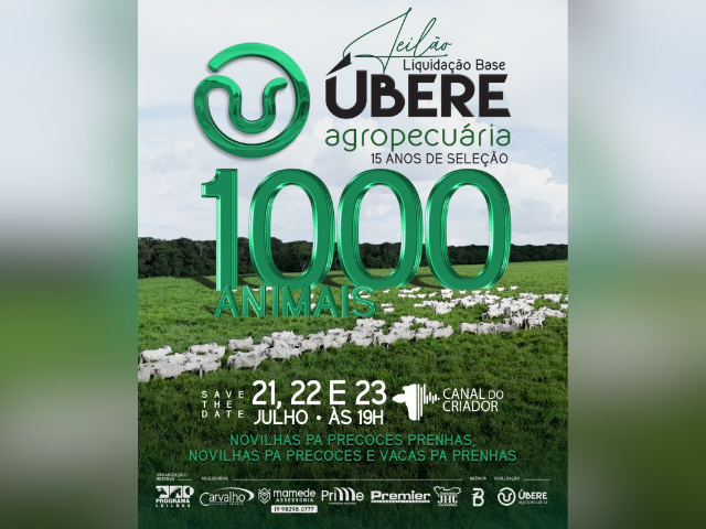 Leilão Liquidação Base Ubere Agropeucária