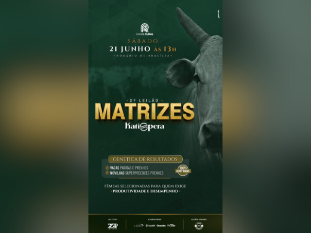 2° Leilão Matrizes Katispera – Genética de Resultados