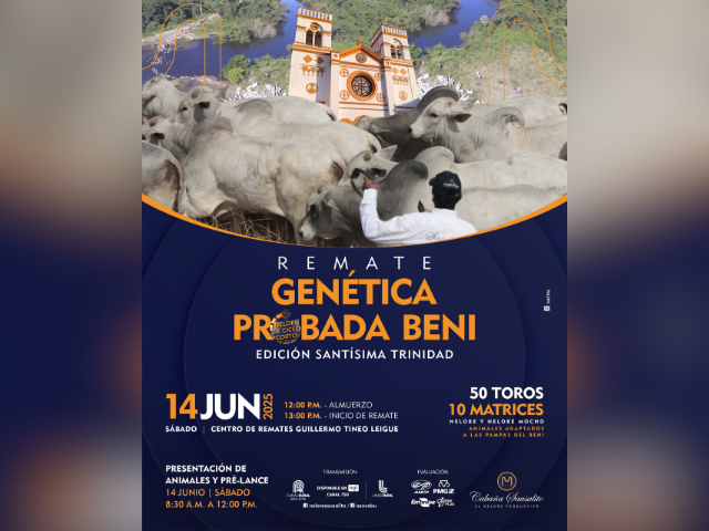 Remate Genetica Probada Beni Edicion Saantisisma Trinidad