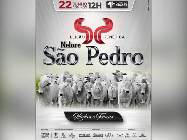 Leilão Virtual Genética Nelore São Pedro – Machos e Fêmeas