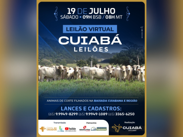 Leilão Virtual Cuiabá Leilões